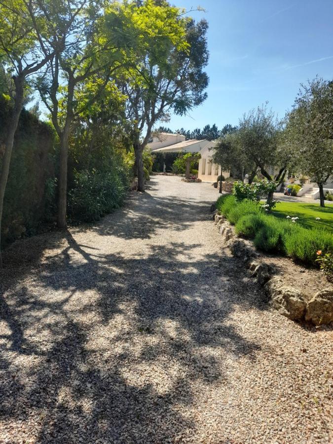 Gîte provençal indépendant avec piscine chauffée : LE SUY BIEN Flayosc Exterior foto