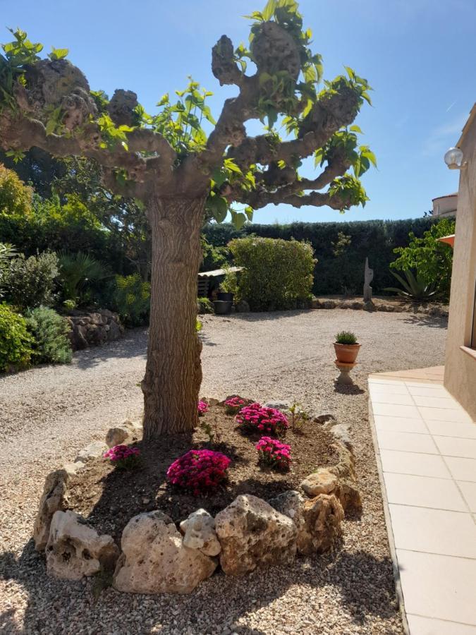 Gîte provençal indépendant avec piscine chauffée : LE SUY BIEN Flayosc Exterior foto